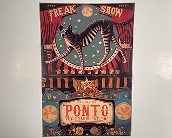 アート・デザイン・音楽 100 YEARS OF CIRCUS POSTERS アート・デザイン・音楽 100 YEARS OF CIRCUS POSTERS 100 YEARS